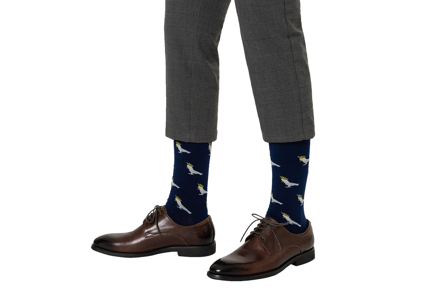 A pair of Cockatoo Socks legs.