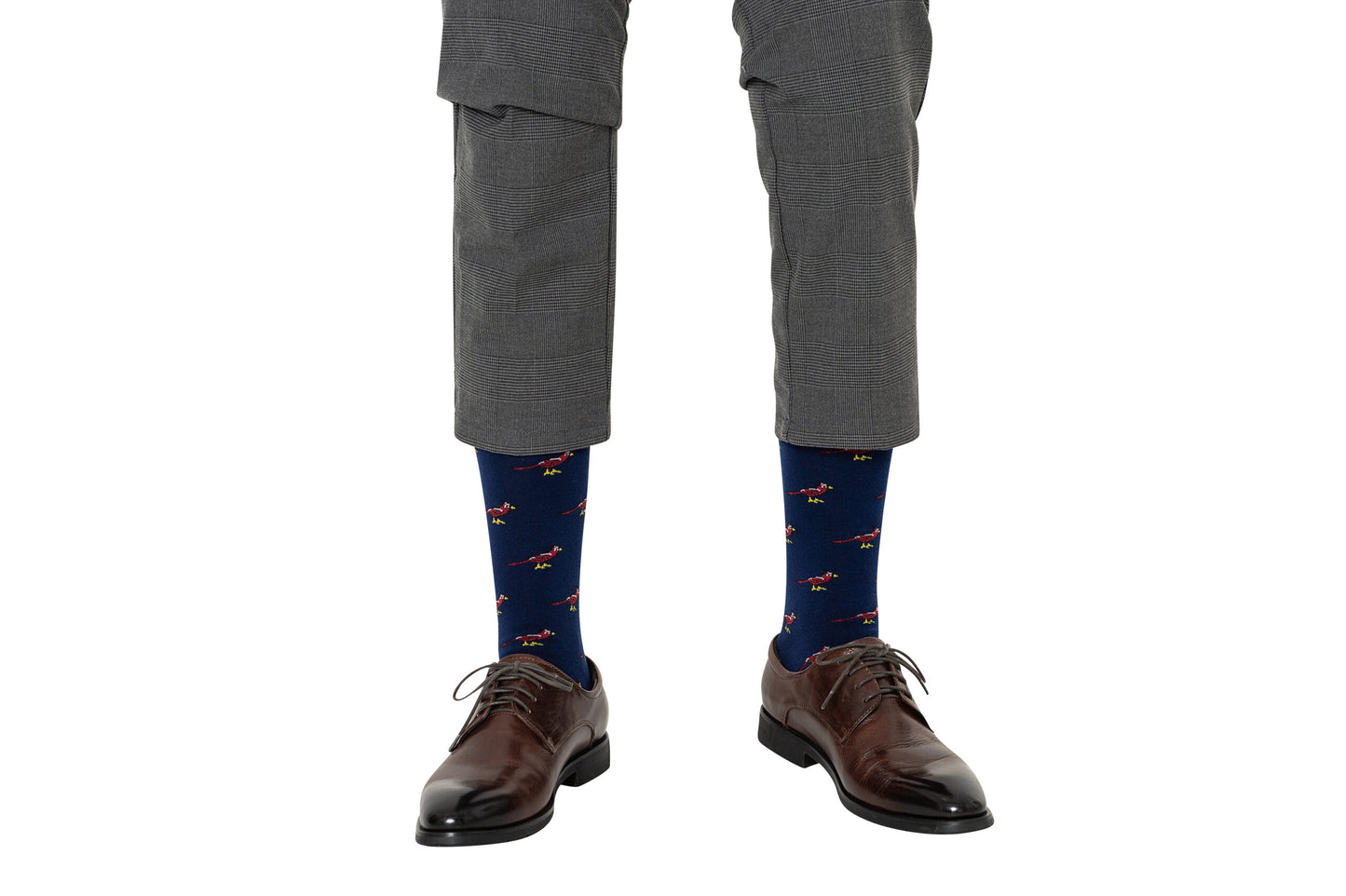 A pair of Cardinal Bird Socks with shoes.