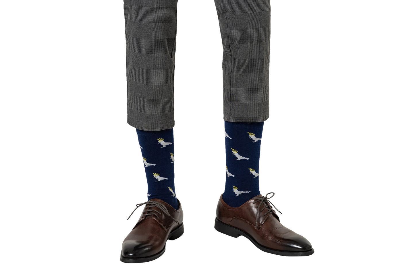 A man wearing a pair of Cockatoo Socks.