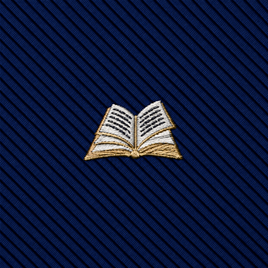 The Book Skinny Tie features an embroidered open book emblem in gold and white thread on diagonal-striped dark blue fabric, making it a perfect accessory to add classic sophistication to your literary tie collection.