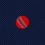Cricket Skinny Tie featuring a red cricket ball with white stitching embroidered on a dark blue striped fabric background—perfect for a unique cricket-themed tie or a thoughtful gift for any cricket lover.
