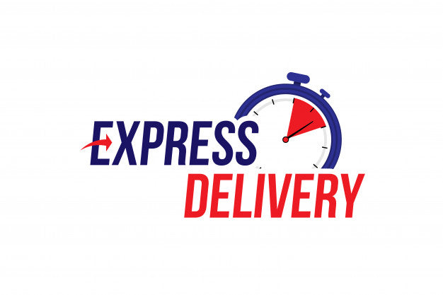 Logo featuring "Express Shipping USA" with a stopwatch icon showing brief time, symbolizing rapid delivery or speedy service.