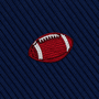 Gridiron Skinny Tie featuring an embroidered football on a dark blue ribbed sports necktie.