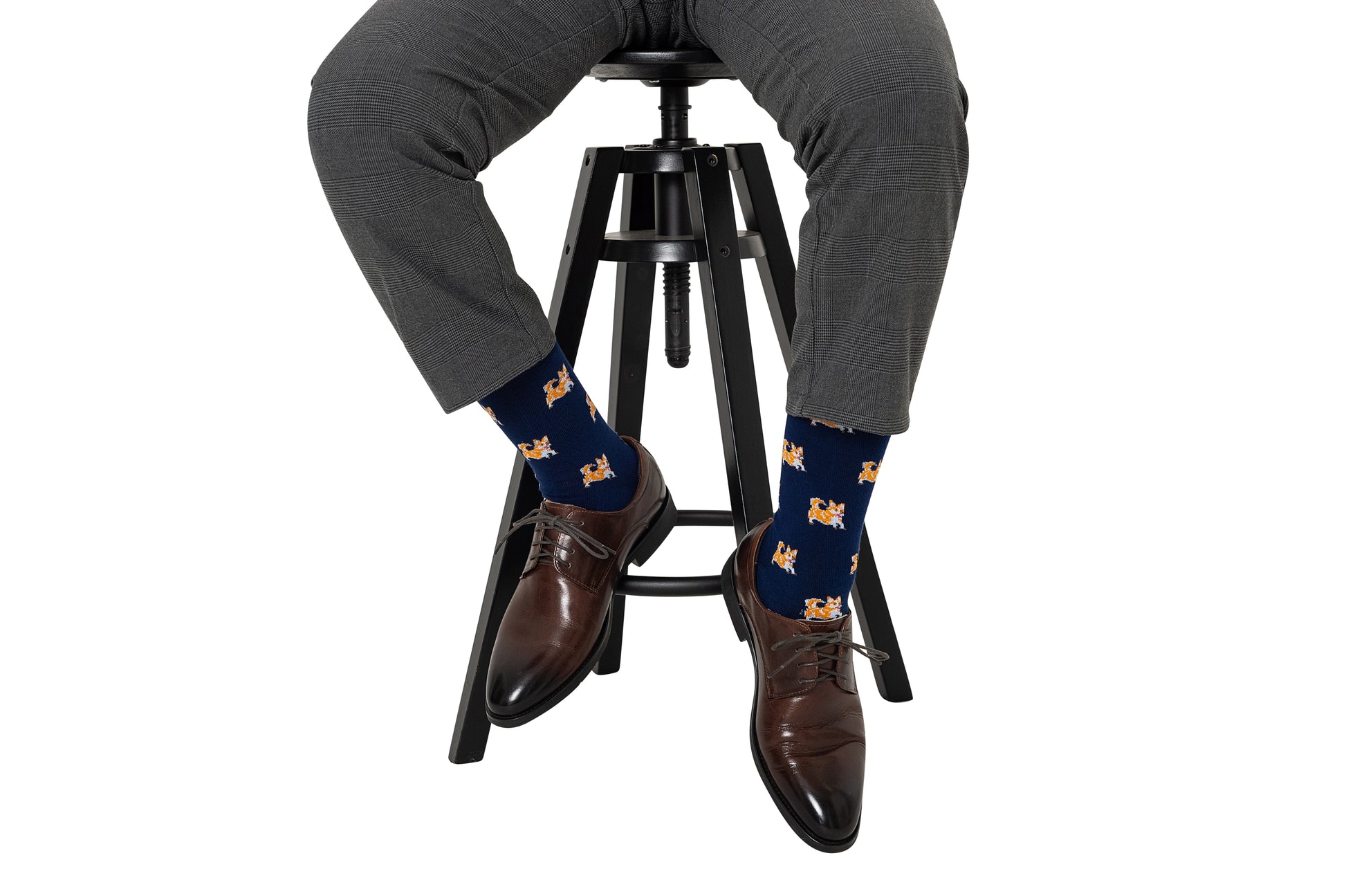 Pet lover socks featuring charming corgi design on navy blue background