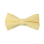 The Baby Yellow Cotton Bow Tie & Pocket Square Set is neatly arranged against a plain white background, radiating youthful charm.