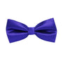 Classic Purple Bow Tie