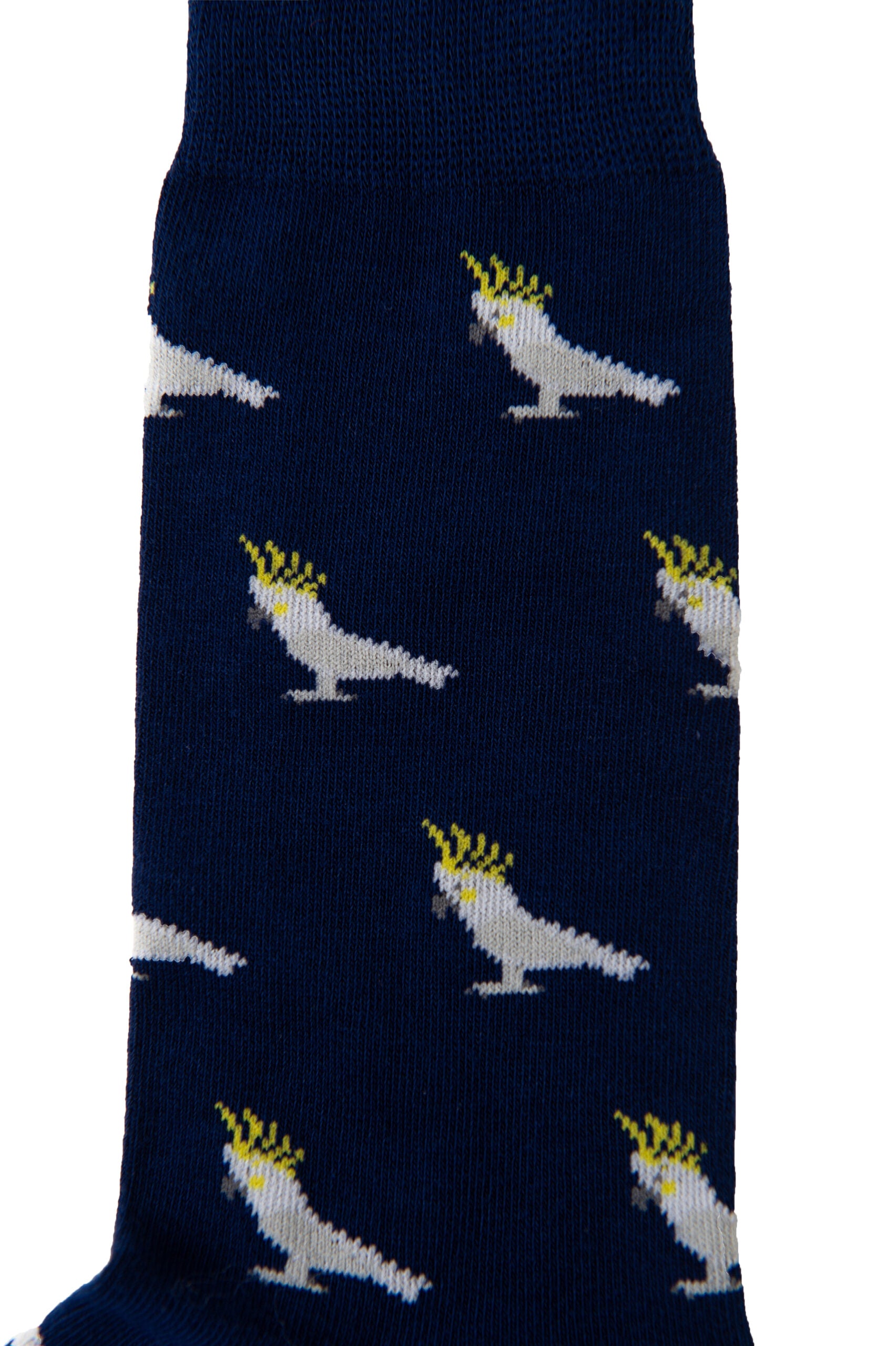A blue and white Cockatoo Sock with white birds on it.