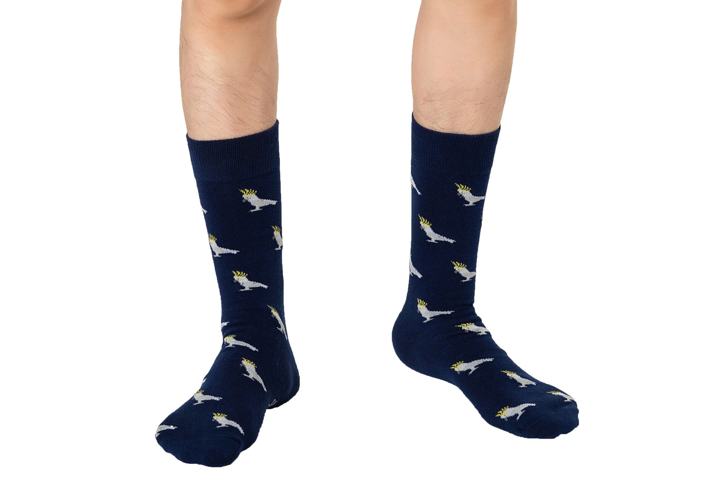A boy sporting Cockatoo Socks.