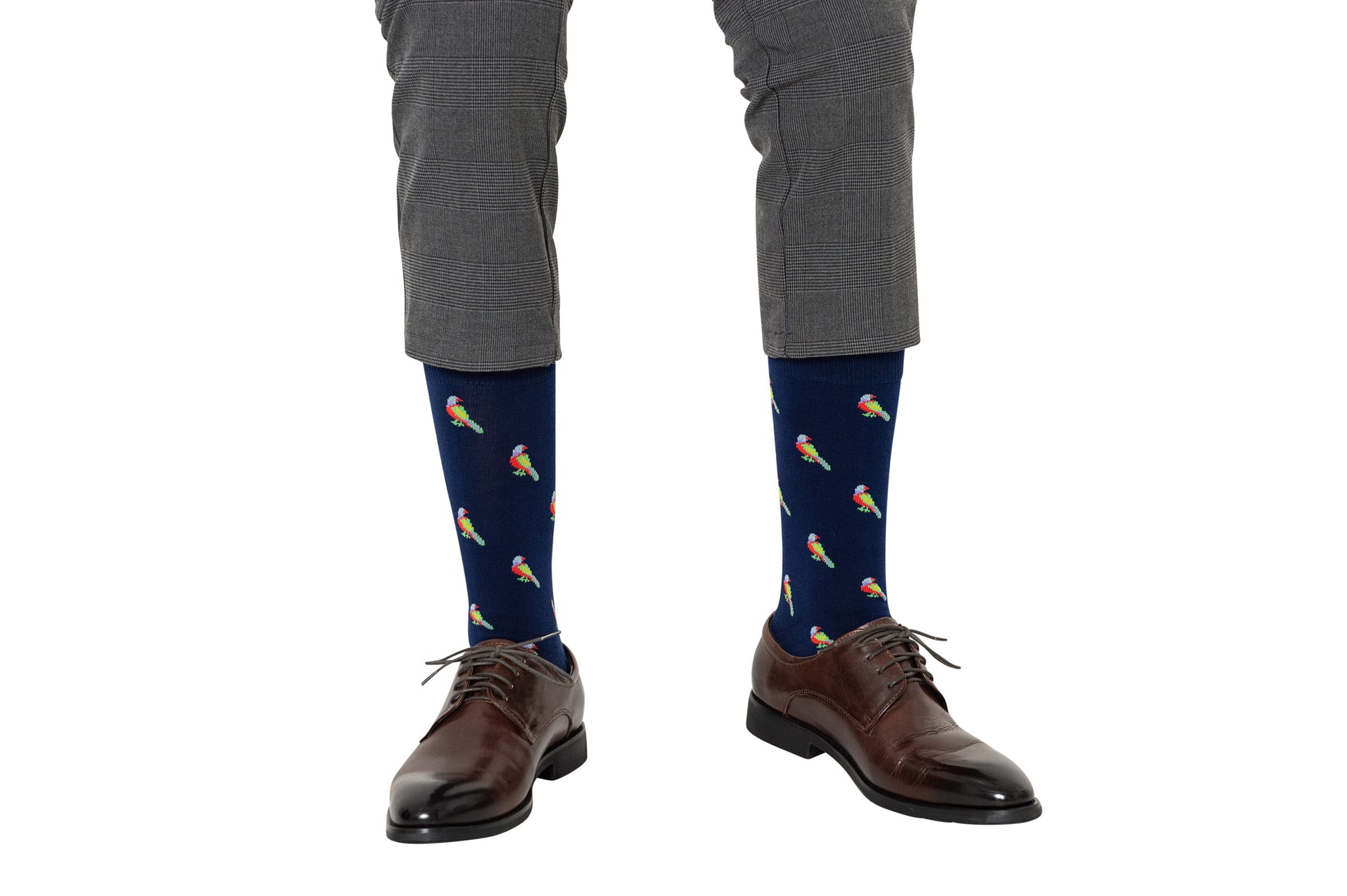 A man in gray plaid pants and dark brown shoes sported navy Parrot Socks, featuring a vibrant parrot pattern that evokes a tropical vibe.